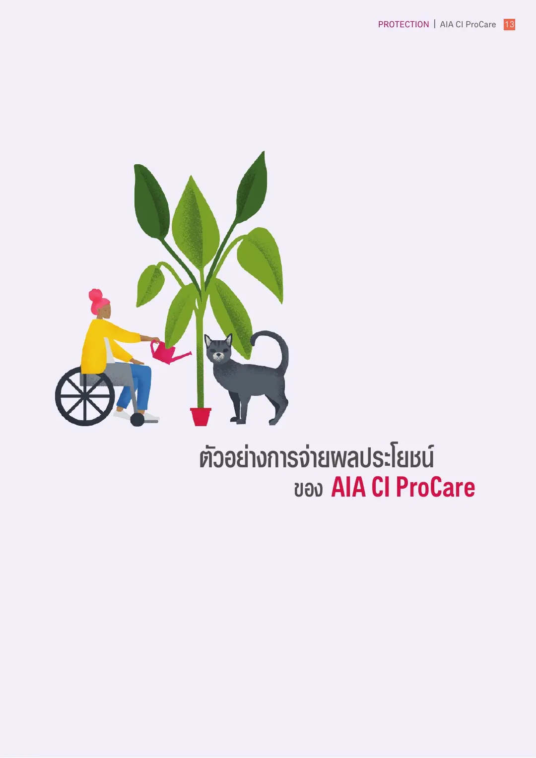 CI ProCare โบรชัวร์ หน้า 12