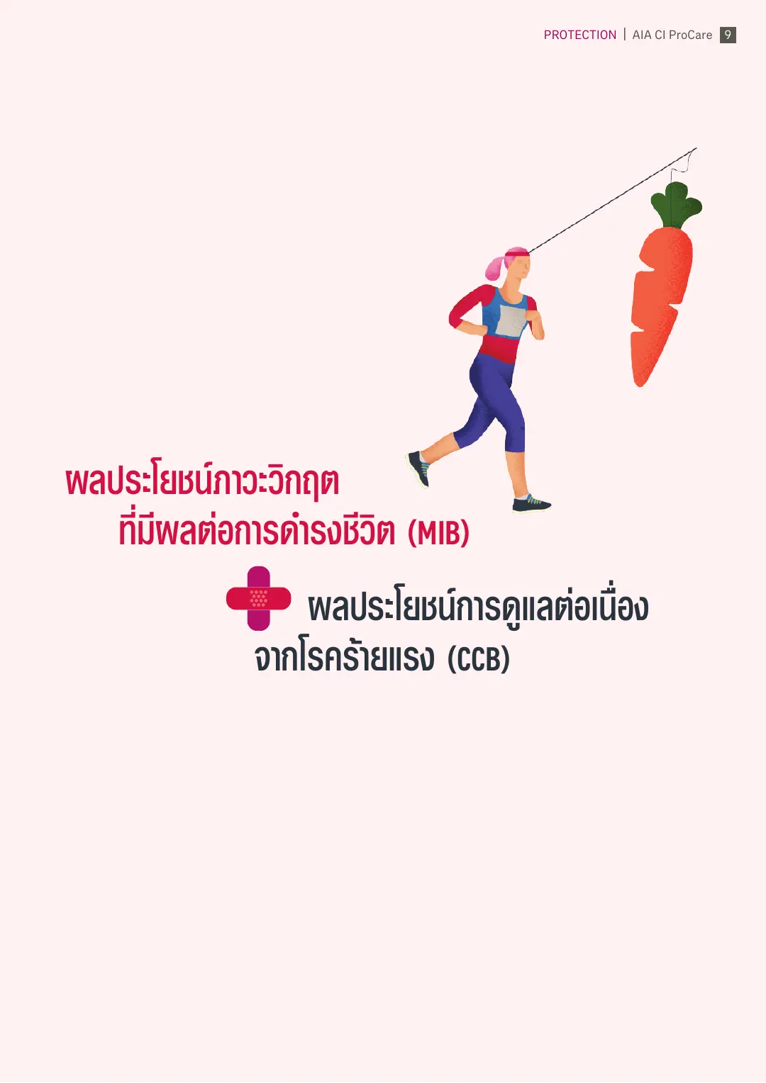 CI ProCare โบรชัวร์ หน้า 8